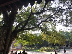 -苏州文庙(姑苏区)