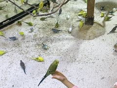 -上海大自然野生昆虫馆