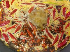 -黄潇洒老火锅(九眼桥宏济巷店)