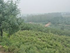 -汉长安城未央宫国家考古遗址公园