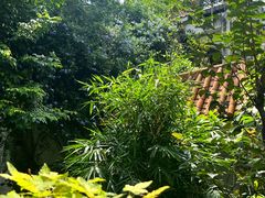 -荔香公园