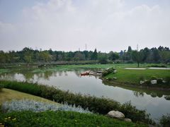 -桤木河湿地公园