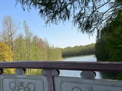 -上海海湾国家森林公园