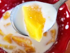 -爱月宝月嫂·育儿嫂(哈尔滨总店)