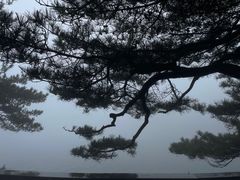 -庐山风景名胜区