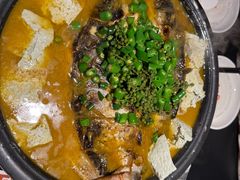 -探鱼·鲜青椒爽麻烤鱼(番禺万达店)