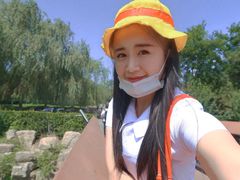 -辛玛王国游乐园