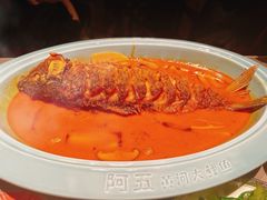 -阿五黄河大鲤鱼(建业路店)