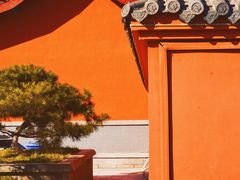 -百脉泉景区