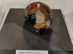 -北京周口店北京人遗址博物馆