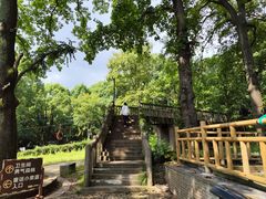 -WeLope紫金山探险公园