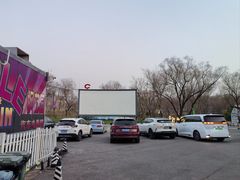 -枫花园汽车电影院(朝阳公园店)