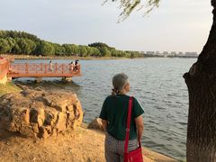 -丁香湖公园
