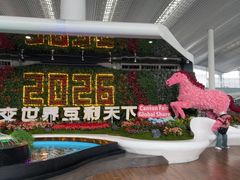 -广州白云国际机场-T2航站楼