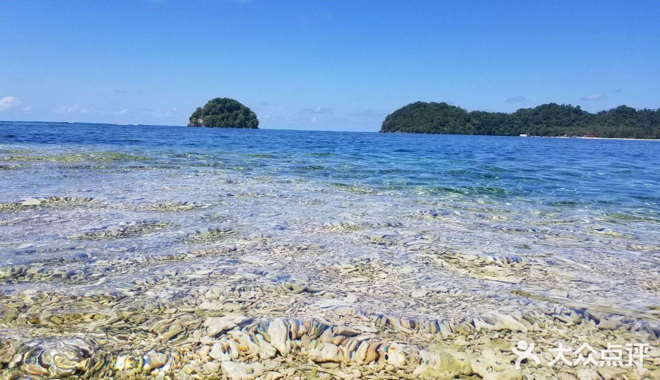 海水清澈見底各種漂亮的珊瑚中有小魚穿梭