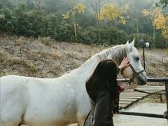 -梦娜斯庄园