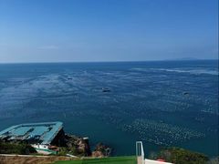 -枸杞岛