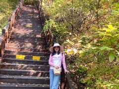 -天女山森林公园