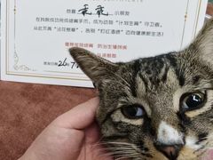 -艾贝尔宠物医院·宠保定点·超声绝育·免疫点(樱花路店)