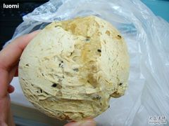 木薯麻团5.5-多乐之日(五道口店)