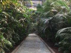 -龙达温泉生态城