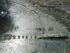 -韩湘水博园