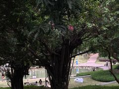 -燕晗山郊野公园