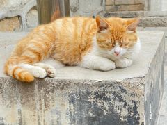 -终南山南五台景区