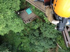 -清迈丛林飞跃 JungleFlight