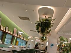 -Aqua Oasis 水天堂(太湖中心mall店)