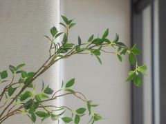 -喜茶(中山利和新地店)