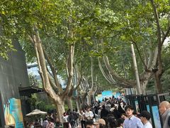 -西安电影制片厂