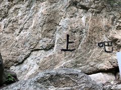-王顺山国家森林公园