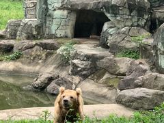 -宁波野生动物园