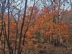 -本溪老边沟风景区