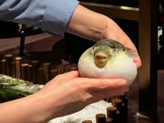 -肆月河豚·淮扬菜·湘菜(华天店)