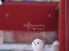 景点-故宫博物院(故宫)