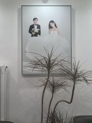 -北遇映画PHOTO GRAPHY STUDIO