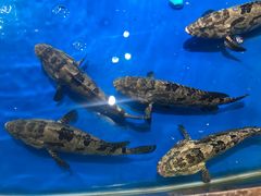 -盒马鲜生(悦峰店)