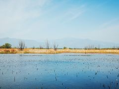 -野鸭湖国家湿地公园