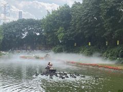 -广州长隆飞鸟乐园