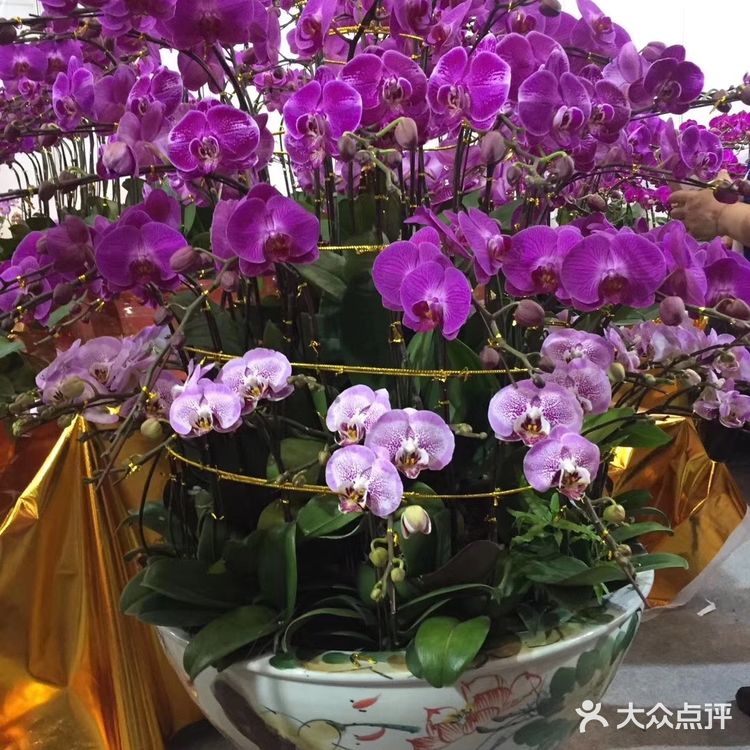 逛花市过年咯！