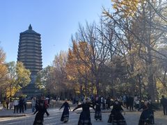 -玲珑塔公园