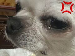 -必胜客(省府店)