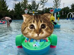 -南宫温泉水世界