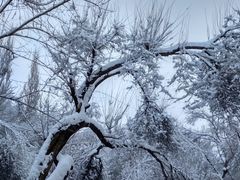 -水磨沟公园