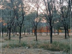 -承德避暑山庄景区