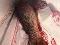 -卧龙湖