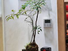 -隆德堂青瓷艺术·茶馆(故宫店)