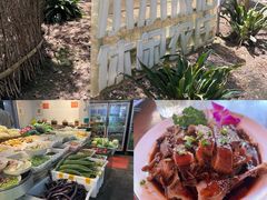 -小小饭店·休闲农庄·安吉松树林里的农家菜